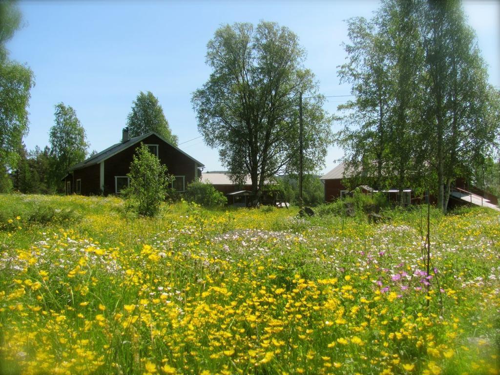 Ellis Garden Guest House Vemhan Exterior photo